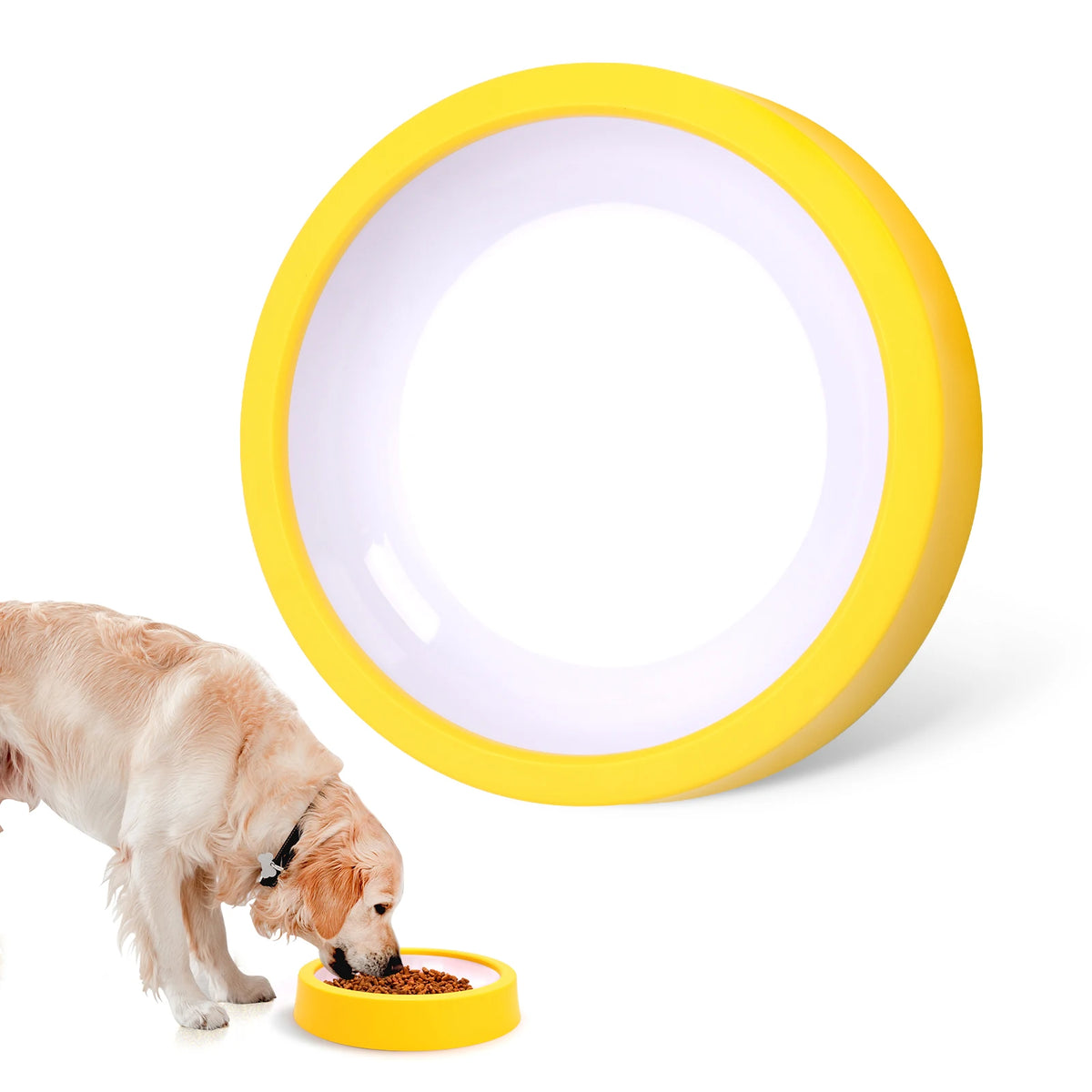 Maze Slow Feeder Dog Bowl
