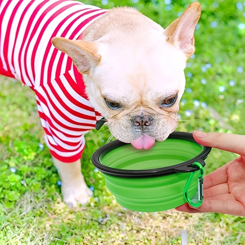 Collapsible Silicone Dog Bowl with Carabiner Clip