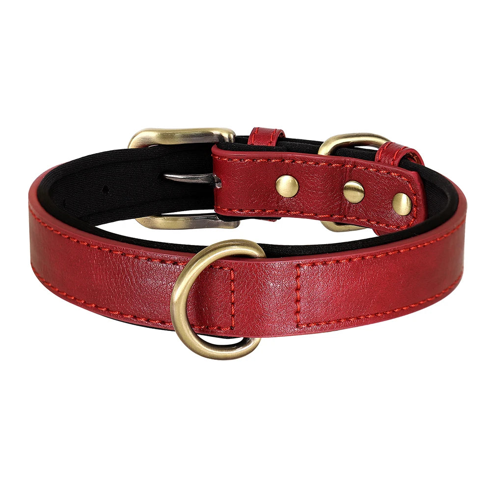 Padded Neoprene Dog Collar with Metal Buckle.