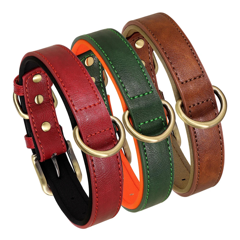 Padded Neoprene Dog Collar with Metal Buckle.
