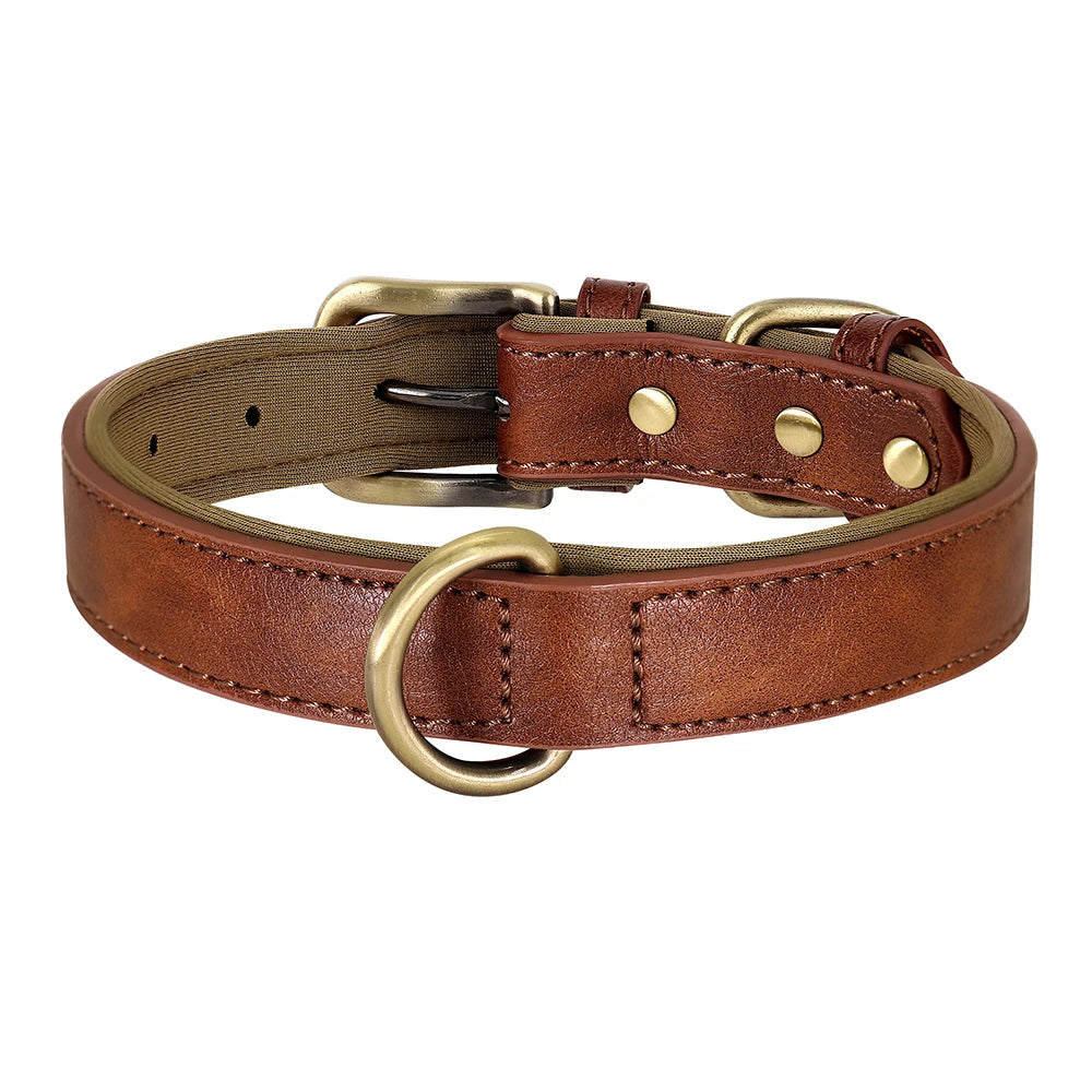 Padded Neoprene Dog Collar with Metal Buckle.