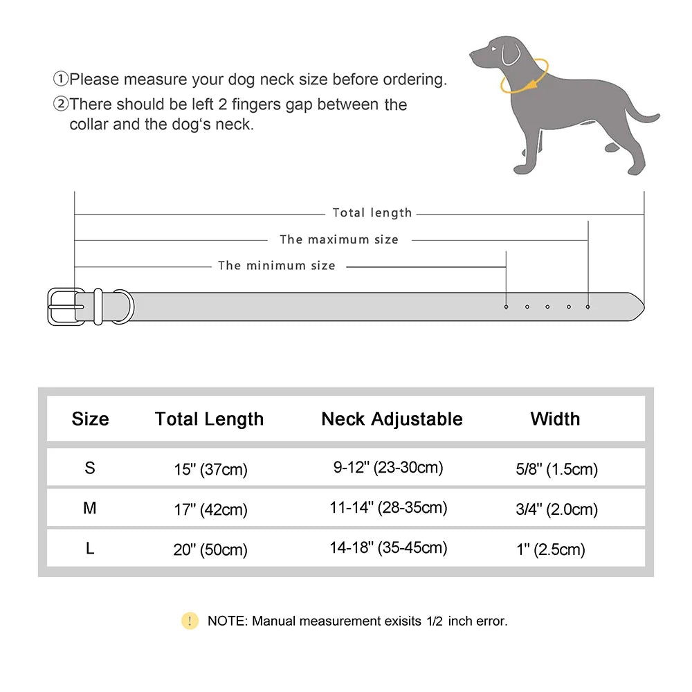 Padded Neoprene Dog Collar with Metal Buckle.