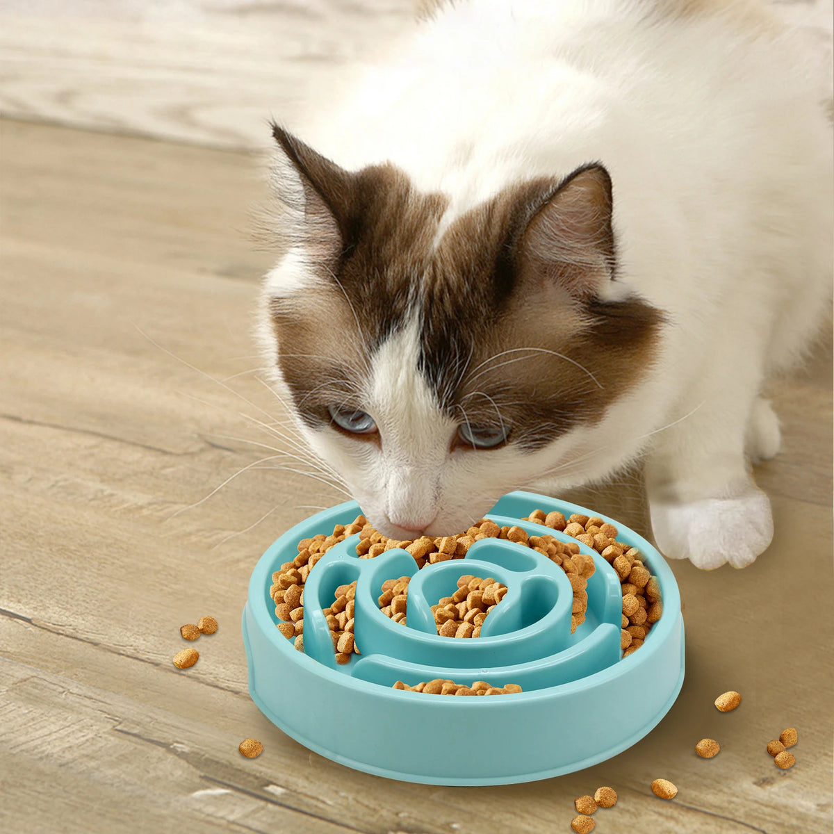 Maze Slow Feeder Dog Bowl