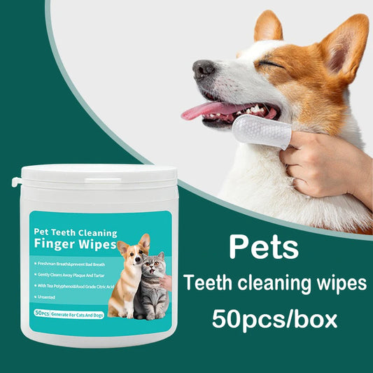 Dental Finger Wipes