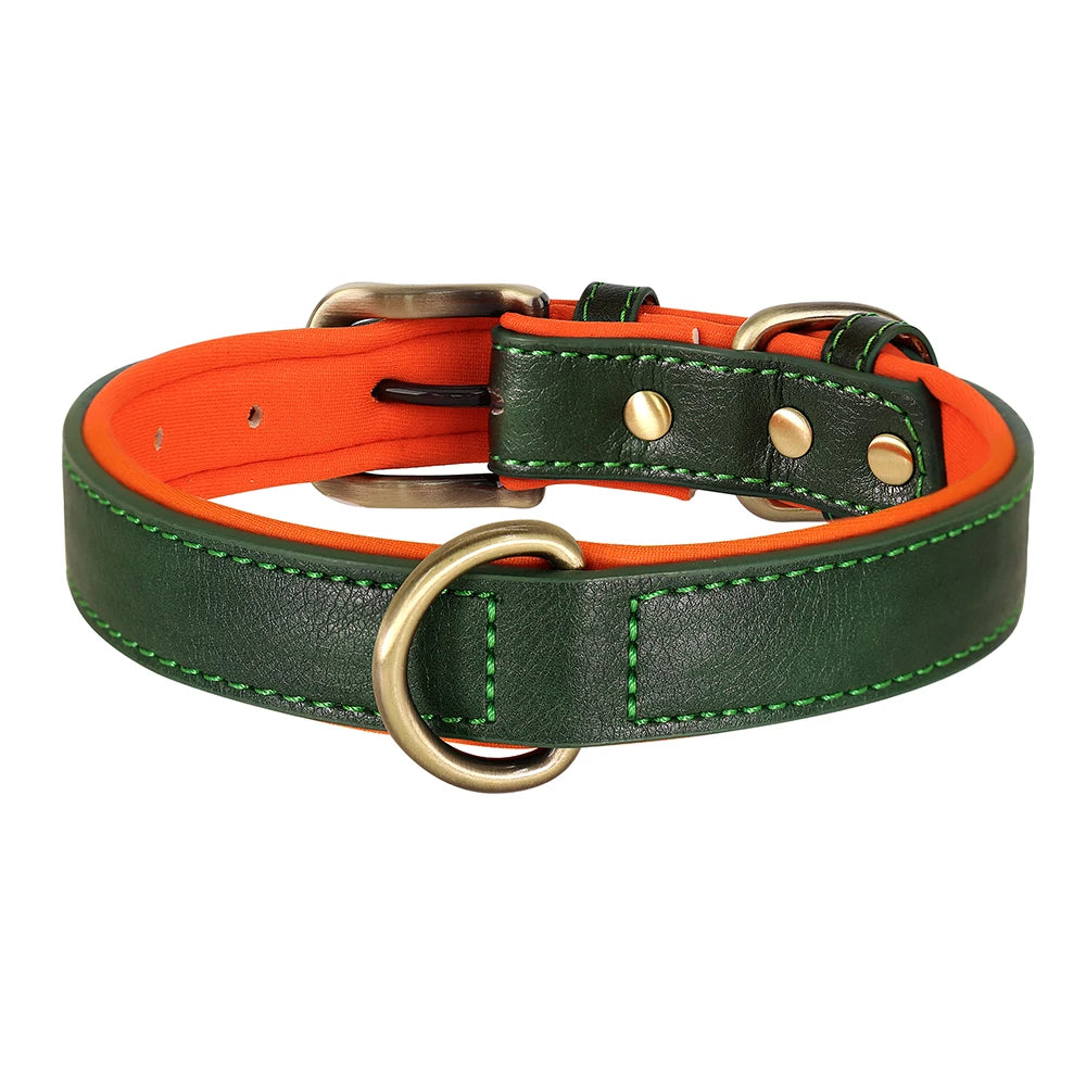 Padded Neoprene Dog Collar with Metal Buckle.