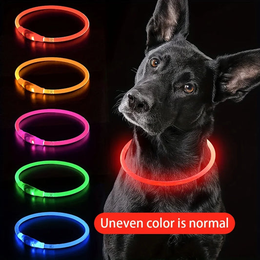 LED Light-Up Dog Collar — USB Rechargeable | Seen from 300m at Night