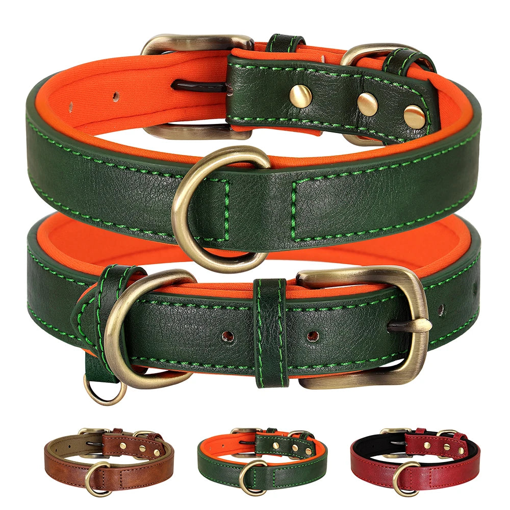 Padded Neoprene Dog Collar with Metal Buckle.