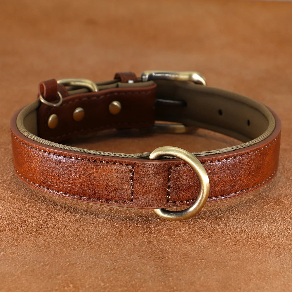 Padded Neoprene Dog Collar with Metal Buckle.