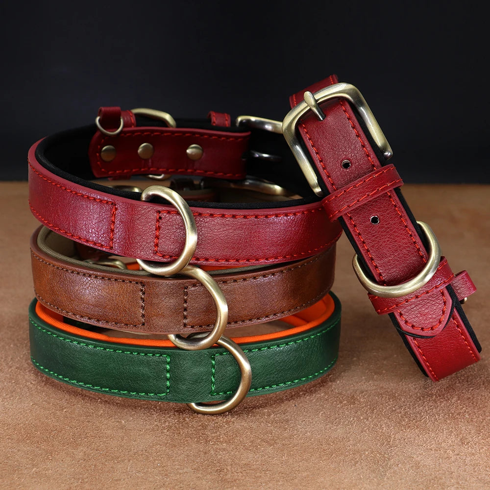 Padded Neoprene Dog Collar with Metal Buckle.