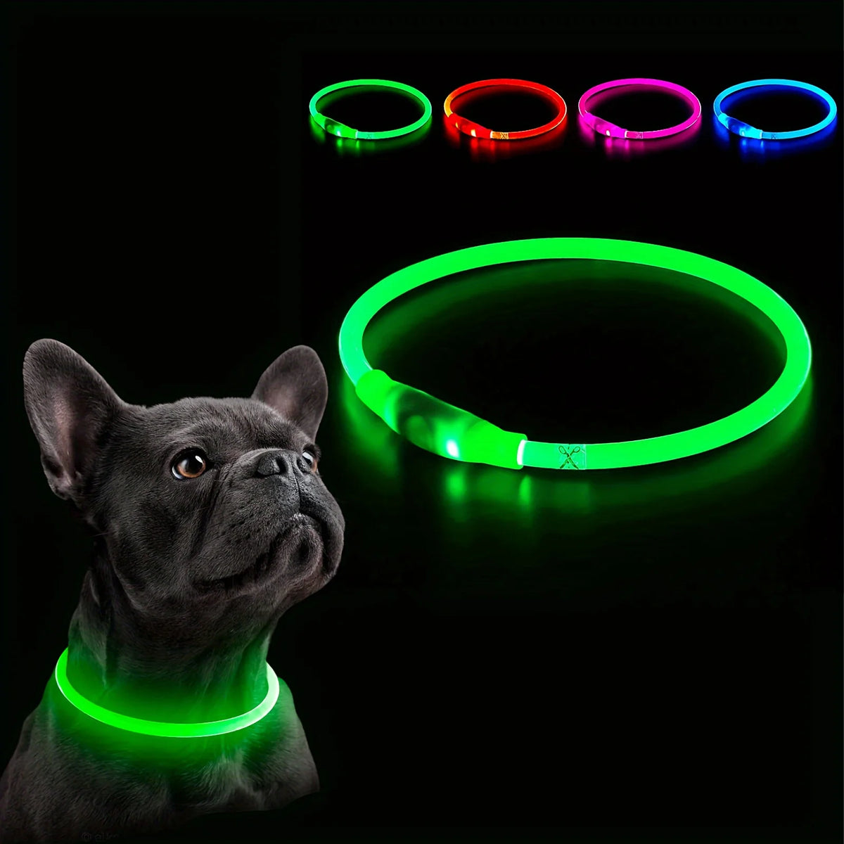 LED Light-Up Dog Collar — USB Rechargeable | Seen from 300m at Night