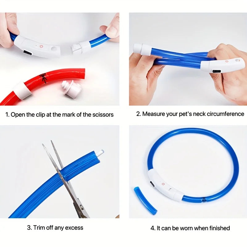 LED Light-Up Dog Collar — USB Rechargeable | Seen from 300m at Night