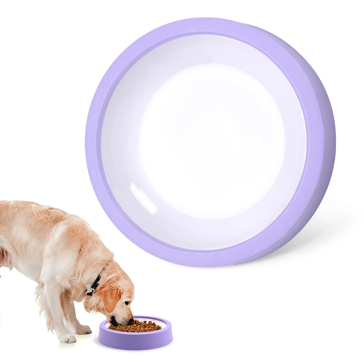 Maze Slow Feeder Dog Bowl